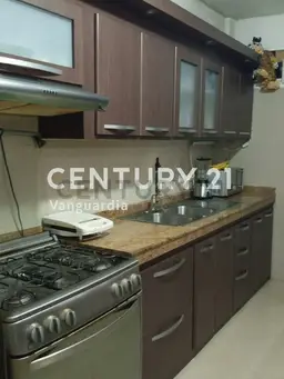 Vista 7