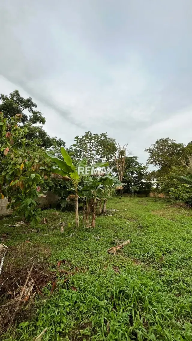 BIENECHURIAS EN VENTA SOBRE PARCELA DE TERRENO EJIDO DE 2072,02 m² EN LA ENTRADA DE LA PICA, MATURIN - 13