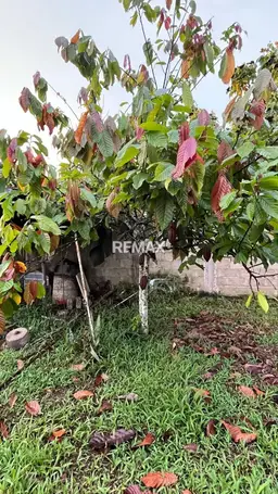 View 16