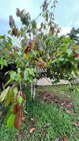 View 17