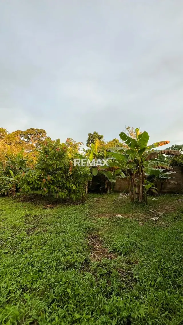 BIENECHURIAS EN VENTA SOBRE PARCELA DE TERRENO EJIDO DE 2072,02 m² EN LA ENTRADA DE LA PICA, MATURIN - 18