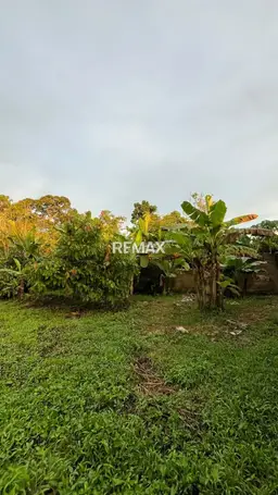 View 18