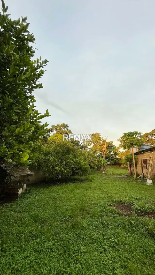 BIENECHURIAS EN VENTA SOBRE PARCELA DE TERRENO EJIDO DE 2072,02 m² EN LA ENTRADA DE LA PICA, MATURIN - 19