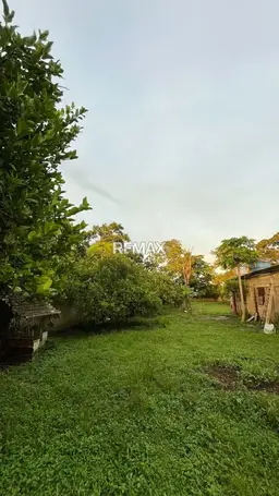 View 19