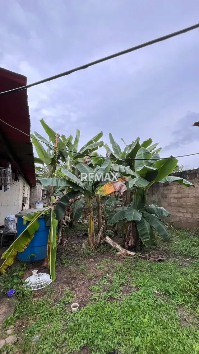 BIENECHURIAS EN VENTA SOBRE PARCELA DE TERRENO EJIDO DE 2072,02 m² EN LA ENTRADA DE LA PICA, MATURIN - 5