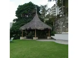 View 25