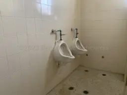Vista 20