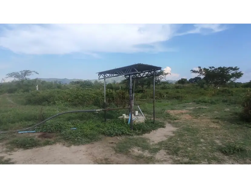 Complejo Agro-Industrial en Yagua TCL G 9721958
