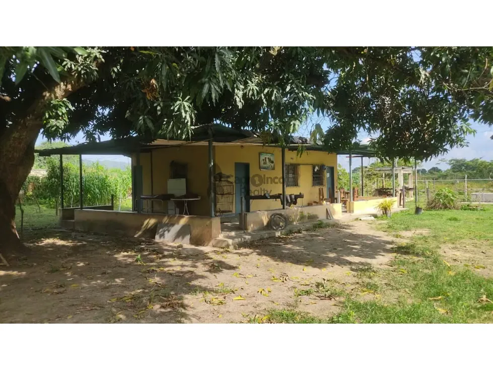 Complejo Agro-Industrial en Yagua TCL G 9721958 - 3