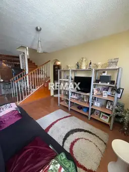 Vista 5