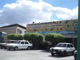 Vista 15