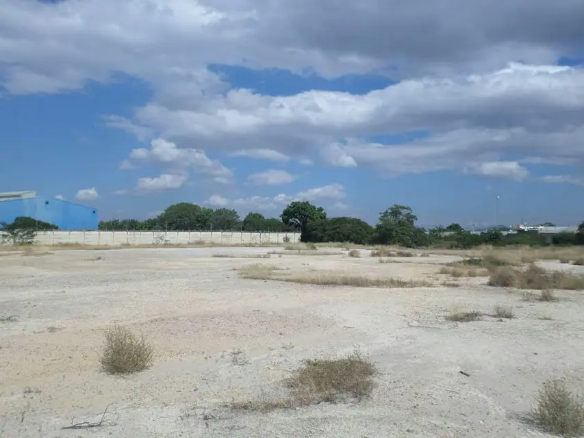 Terreno (Comercial) en Venta en Parroquia Juan Bautista Rodriguez, Lara - 4