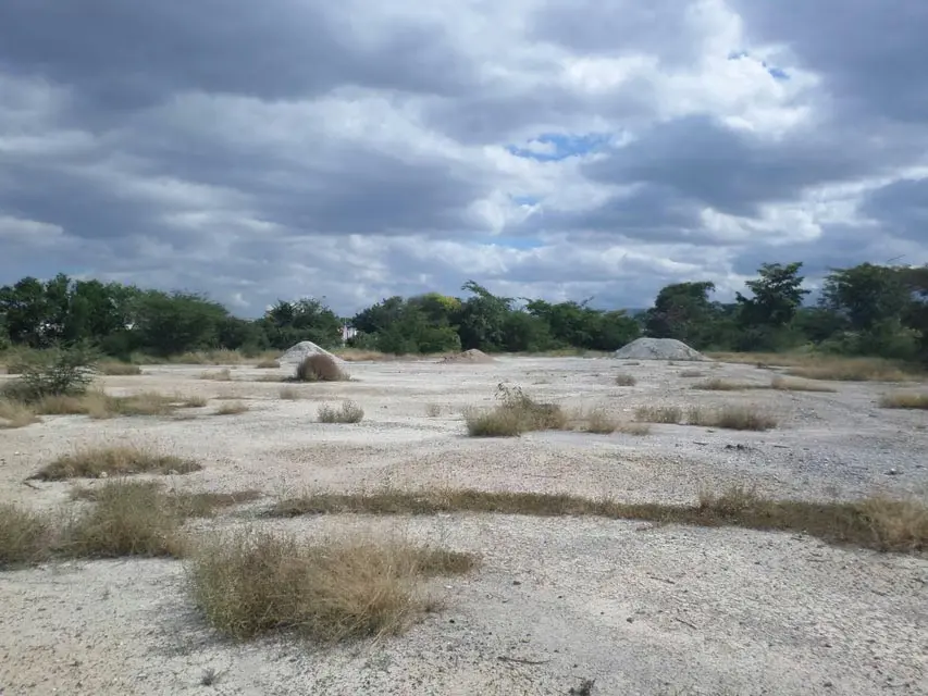 Terreno (Comercial) en Venta en Parroquia Juan Bautista Rodriguez, Lara - 8