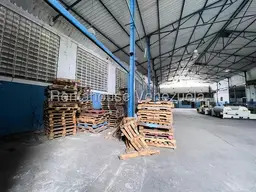 View 6