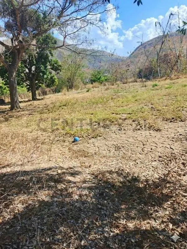 Terreno en Venta en Country Club La Victoria - 2