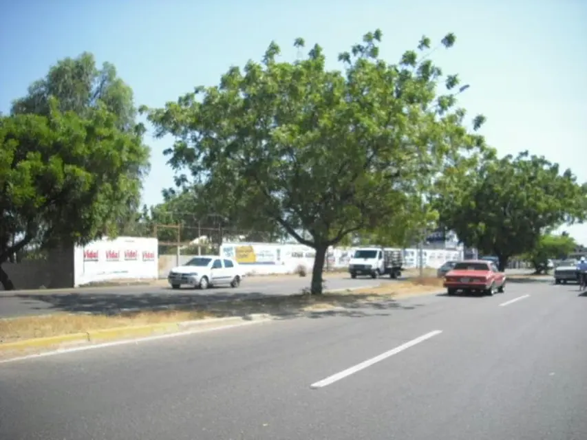 Terreno (Comercial) en Alquiler en Zona Industrial Norte, Zulia - 9