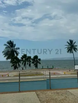 Vista 10