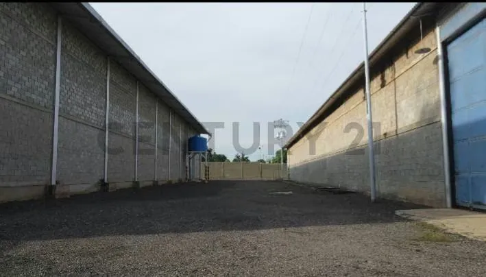 Alquilo Galpones Complejo Cerrado, San Francisco, desde 2.000m2 hasta 3.000m2 - 6