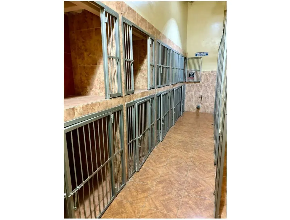 Se vende Edificio 800m² Baruta - 8