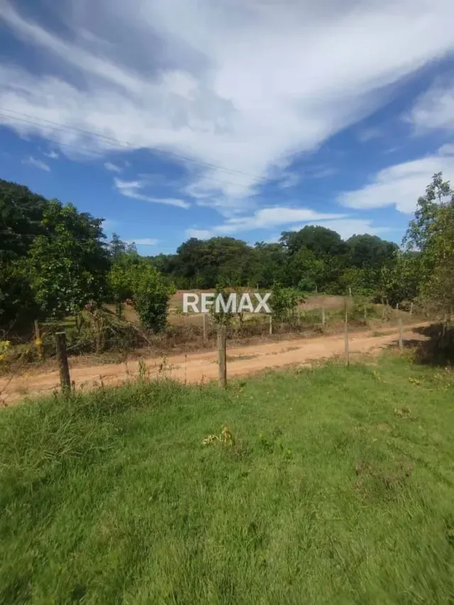 Finca terreno - 3