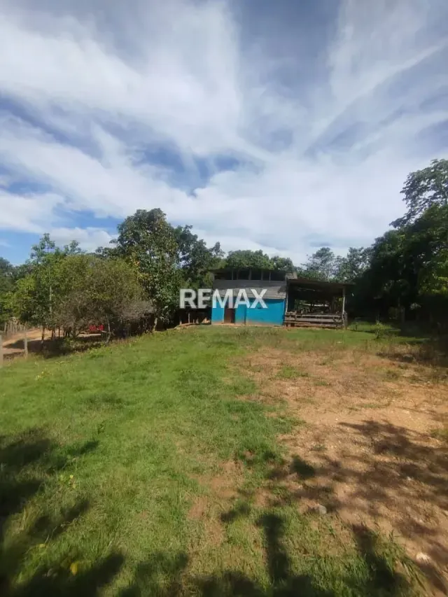 Finca terreno - 4