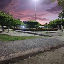 Vista 13