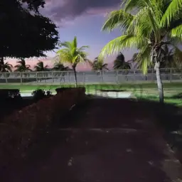Vista 9