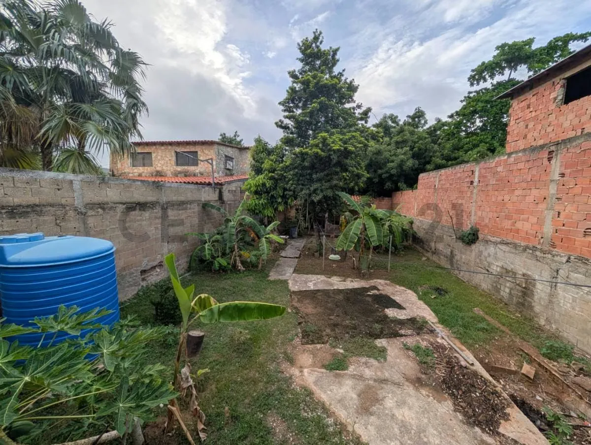 AMPLIA CASA PARA REMODELAR CON PATIO Y ARBOLES FRUTALES UBICADA EN LOS ROBLES - 9