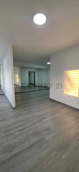 Vista 6
