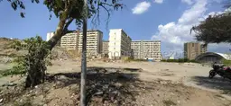 Vista 21