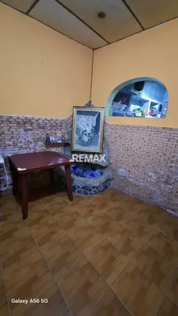 Vista 5