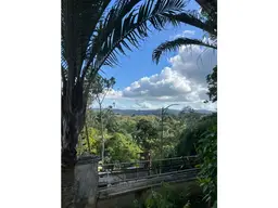 View 29