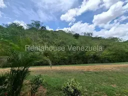 Vista 12