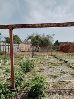 View 24