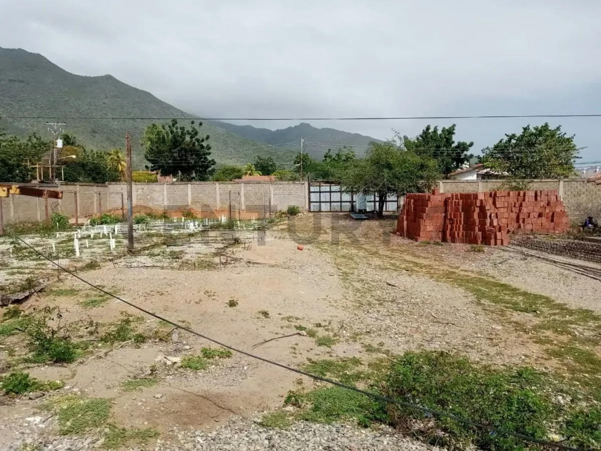 TERRENO EL HATO CON PROYECTO 10 VIVIENDAS UNIFAMILIARES,GUACUCO,MARGARITA - 6