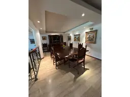 Vista 6