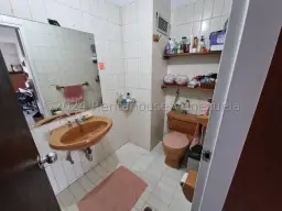 Vista 19
