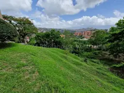 Vista 25