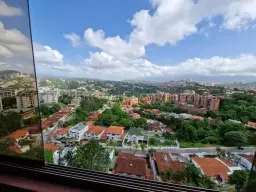 Vista 31
