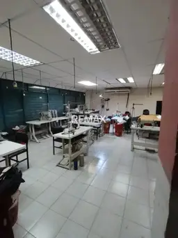 Vista 16
