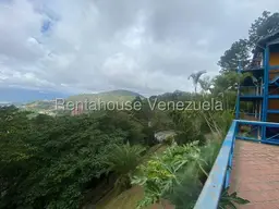 View 67