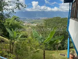 View 69