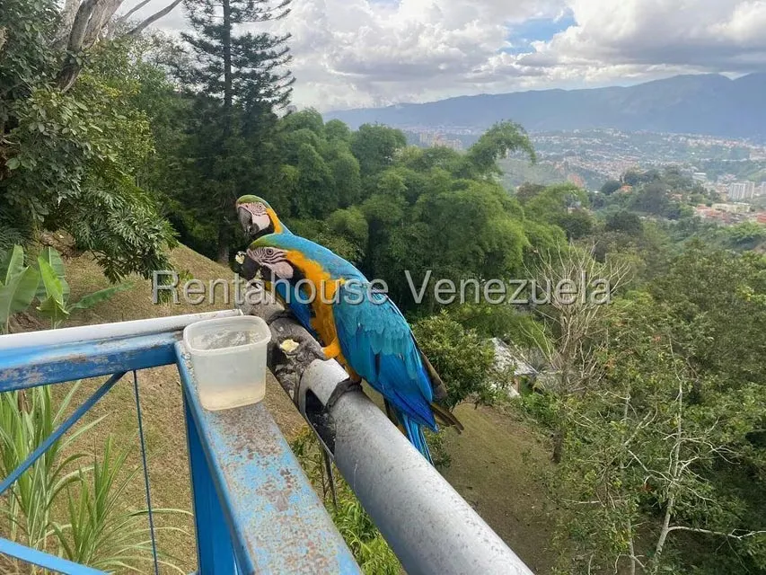 Casa (Multipes Niveles) en Venta en El Placer, Distrito Metropolitano - 70