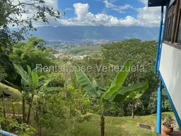 View 71