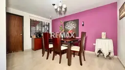 Vista 4