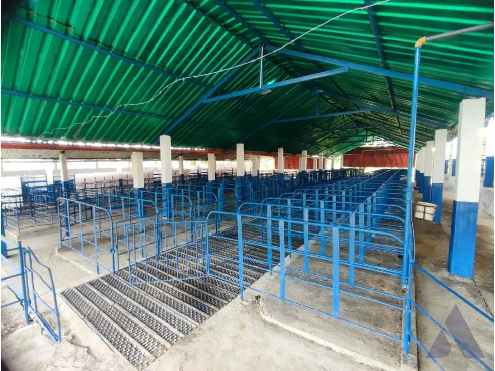 Se vende finca agropecuaria ganadera 200 Has, Estado Guárico 2328 - 11