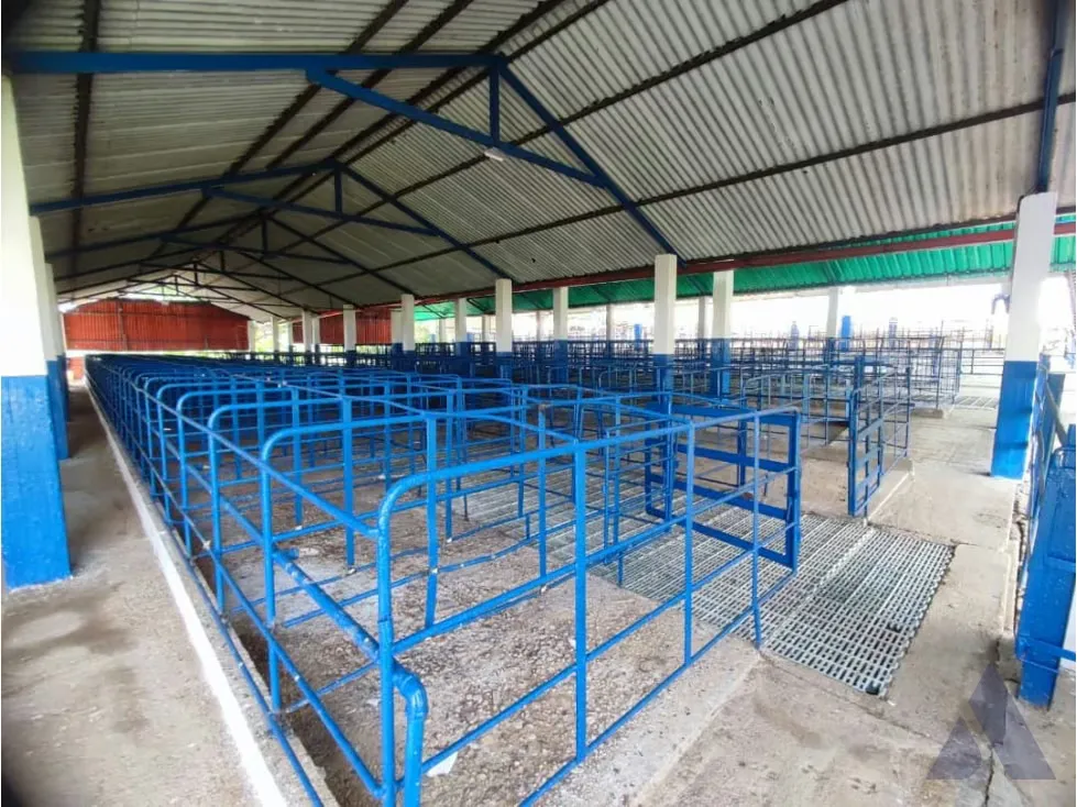 Se vende finca agropecuaria ganadera 200 Has, Estado Guárico 2328 - 13