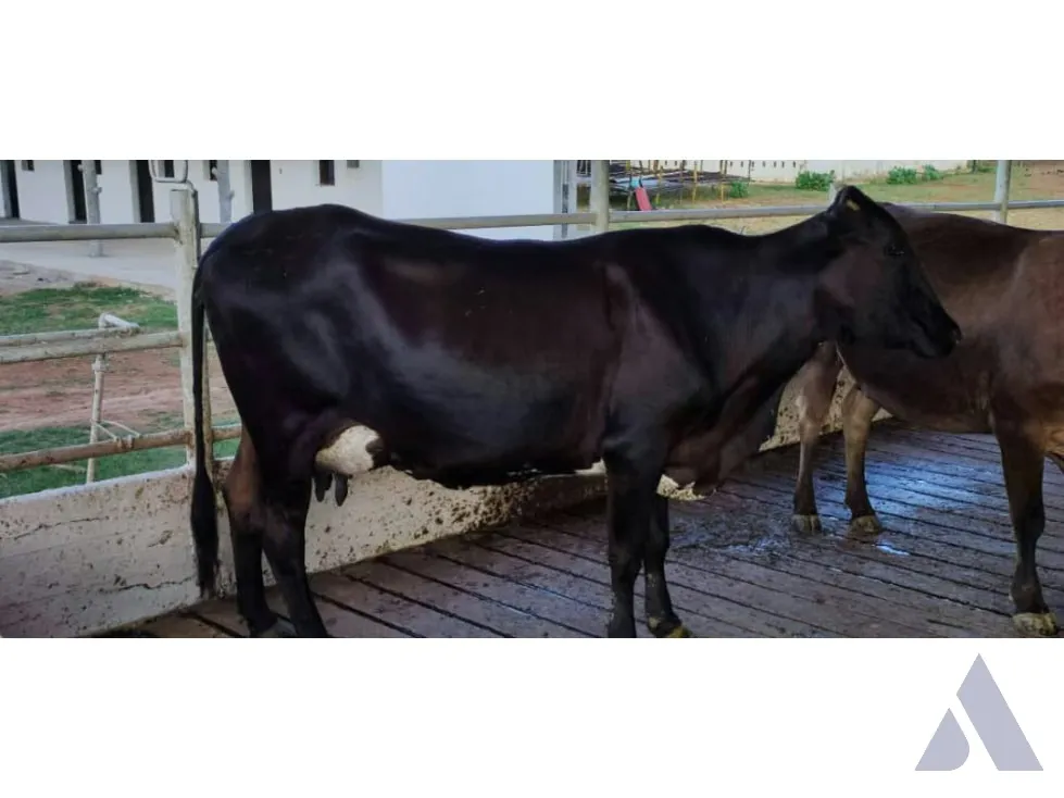 Se vende finca agropecuaria ganadera 200 Has, Estado Guárico 2328 - 8