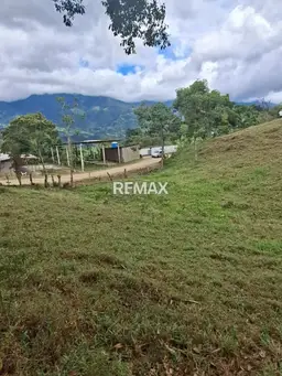 Vista 4