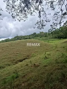 Vista 5